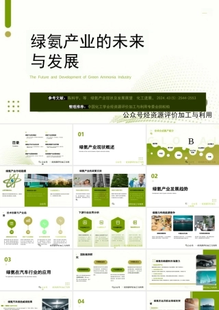 绿氨产业的未来与发展