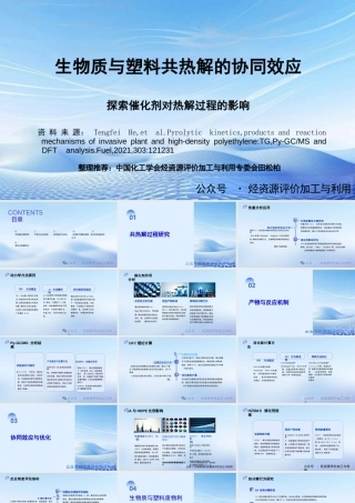 生物质与塑料共热解的协同效应