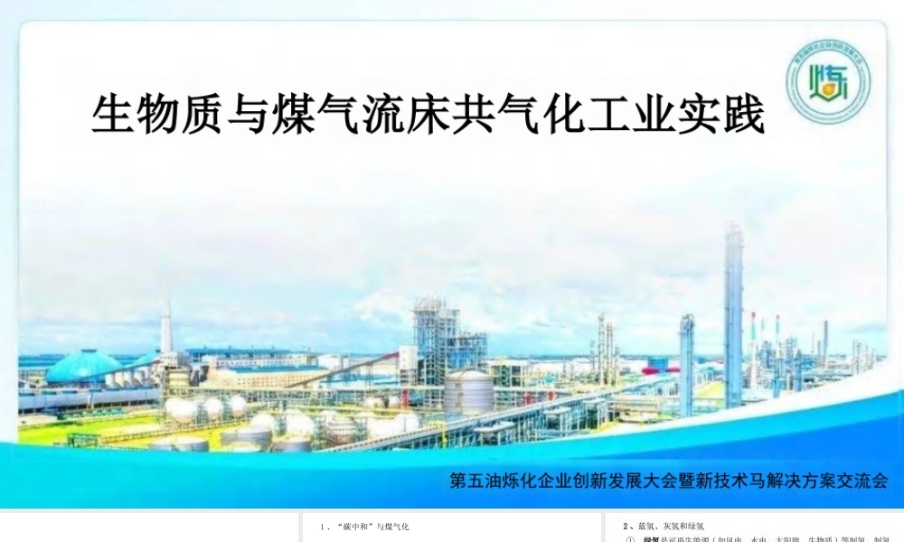 生物质与煤气流床共气化工业实践