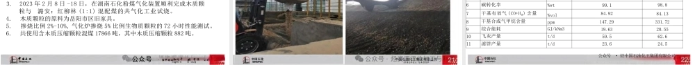 生物质与煤气流床共气化工业实践