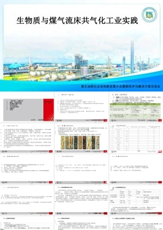 生物质与煤气流床共气化工业实践