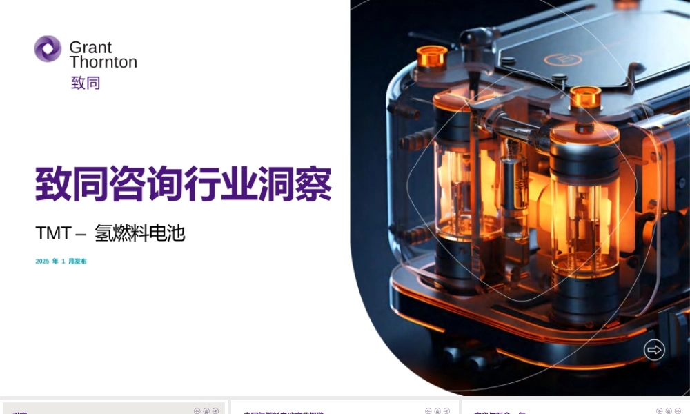 致同咨询行业洞察：TMT——氢燃料电池