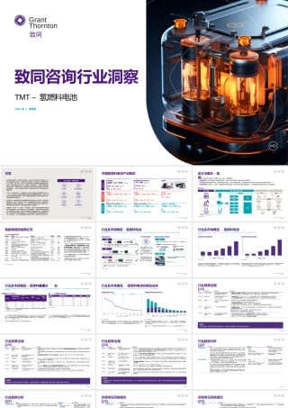 致同咨询行业洞察：TMT——氢燃料电池