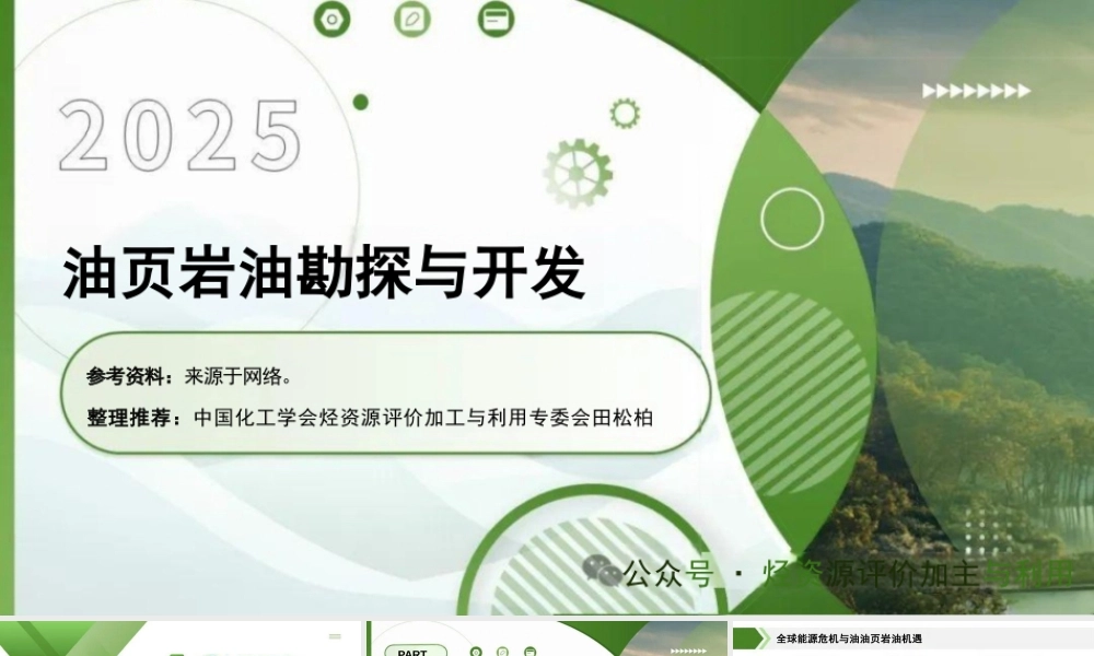 2025油页岩油勘探与开发
