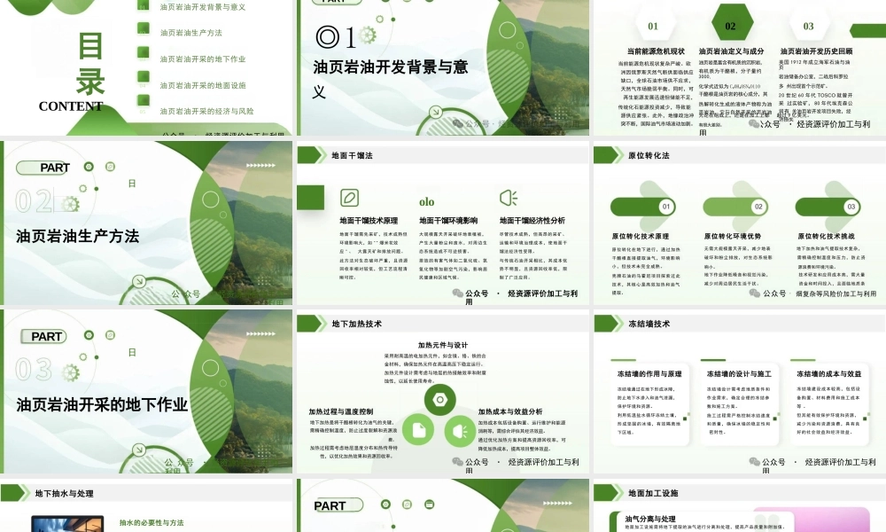 2025油页岩油勘探与开发