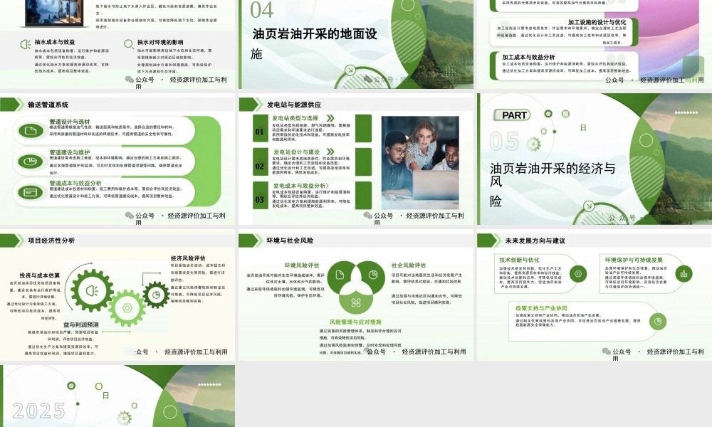 2025油页岩油勘探与开发