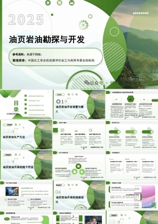 2025油页岩油勘探与开发