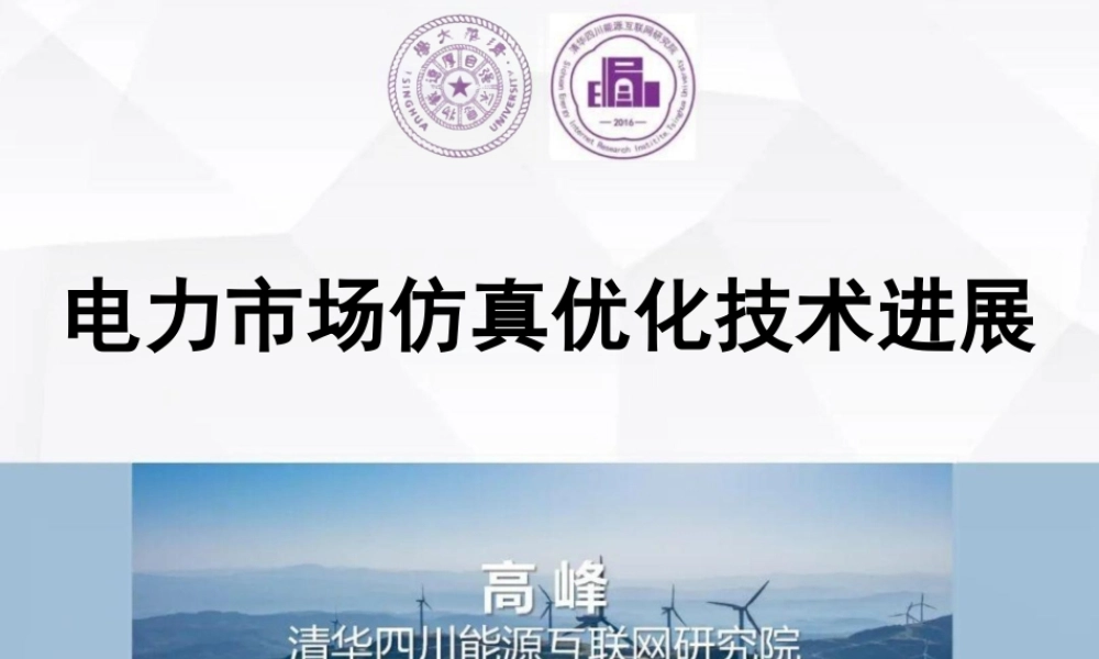 电力市场仿真优化技术进展——高峰