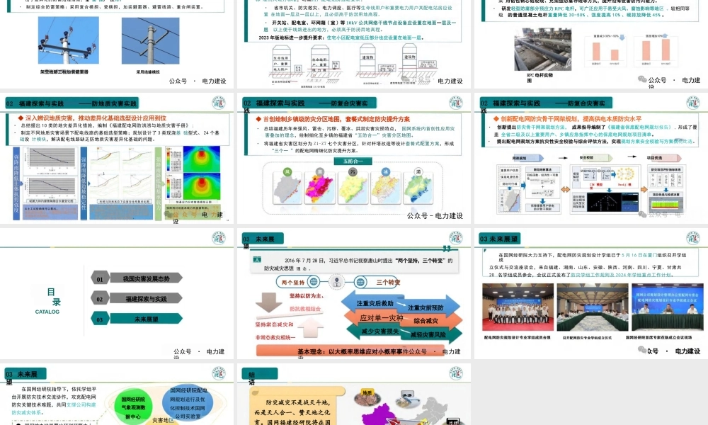 提升防灾本质安全能力助力配电网高质量发展——陈彬