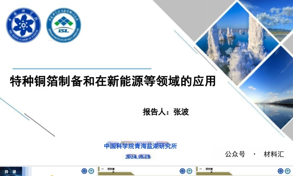 特种铜箔制备和在新能源等领域的应用——张波