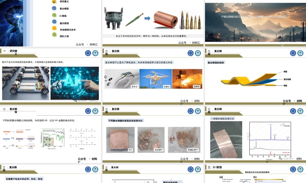 特种铜箔制备和在新能源等领域的应用——张波