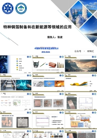 特种铜箔制备和在新能源等领域的应用——张波