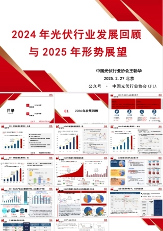 2024年光伏行业发展回顾与2025年形势展望——王勃华