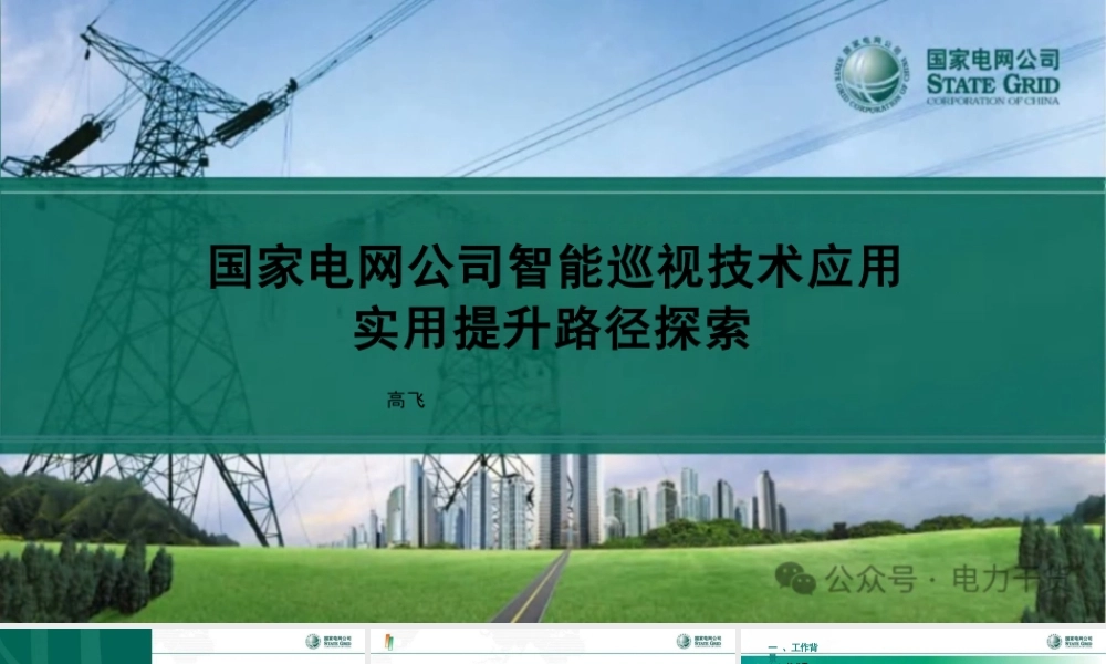 国家电网公司智能巡视技术应用实用提升路径探索——高飞