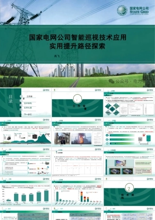 国家电网公司智能巡视技术应用实用提升路径探索——高飞