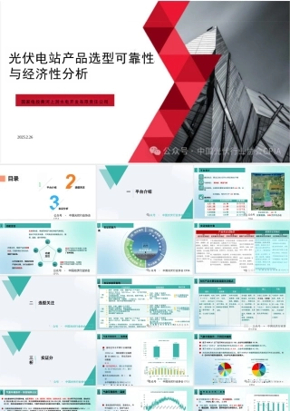 国家电投：光伏电站产品选型可靠性与经济性分析