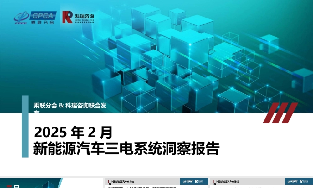 科瑞咨询：2025年2月新能源汽车三电系统洞察报告