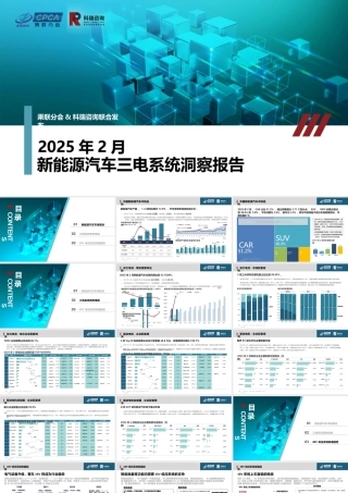 科瑞咨询：2025年2月新能源汽车三电系统洞察报告