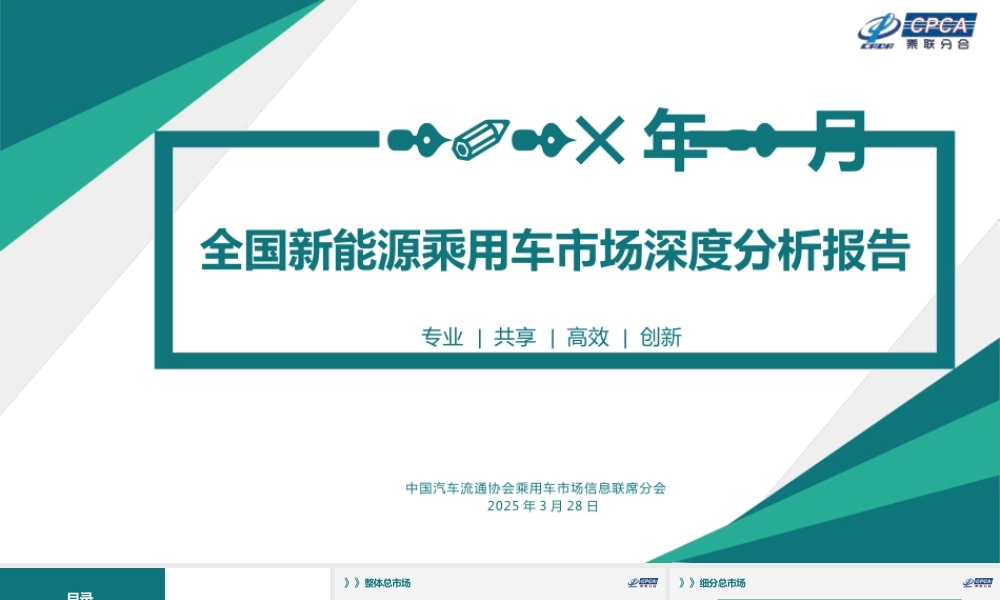 2025年2月全国新能源乘用车市场深度分析报告