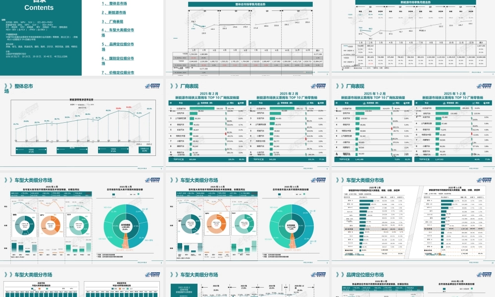 2025年2月全国新能源乘用车市场深度分析报告