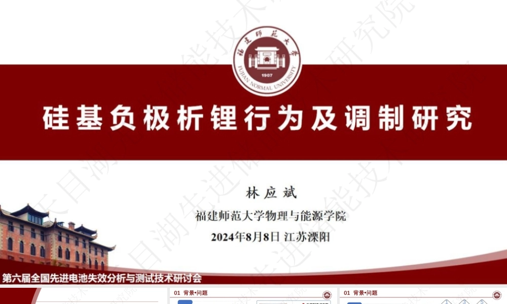 福建师范大学 林应斌：硅基负极析锂行为及调制研究