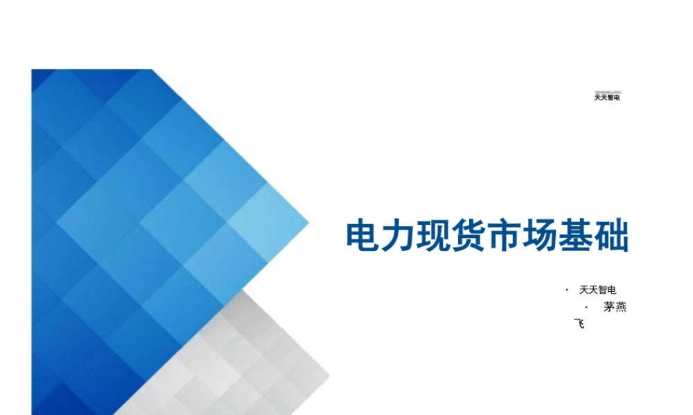 电力现货市场基础-培训课件