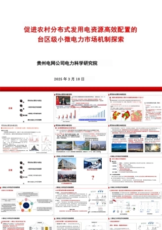 贵州电网公司电力科学研究院：促进农村分布式发用电资源高效配置的台区级小微电力市场机制探索