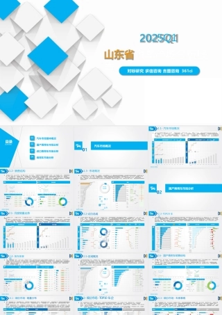 吉图咨询：2025Q1山东省一季度汽车市场分析报告