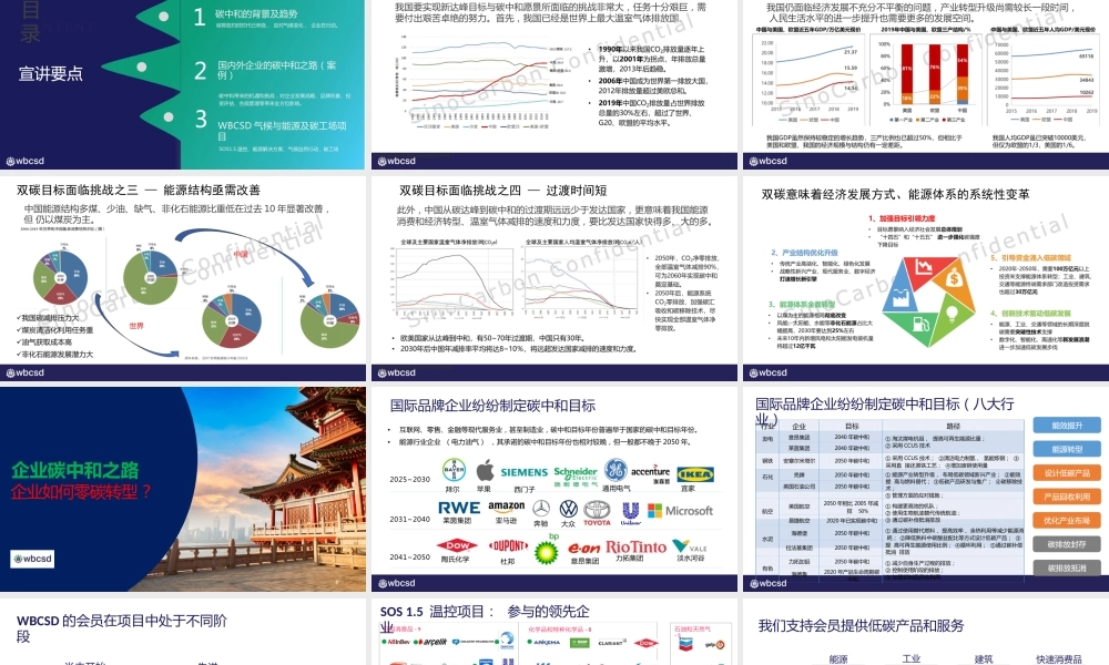 碳中和时代国内外零碳转型之大趋势-WBCSD