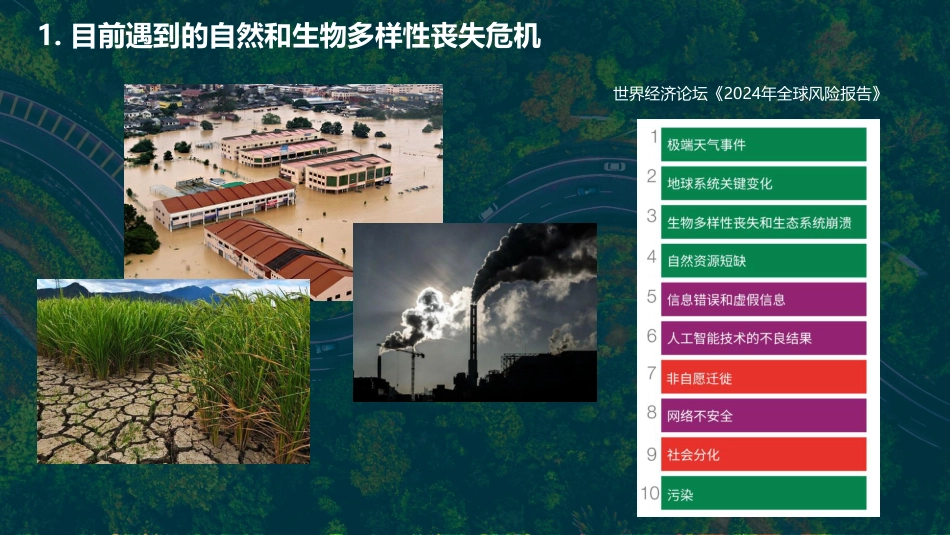 绿维易新：企业ESG生物多样性风险管理服务方案_第2页
