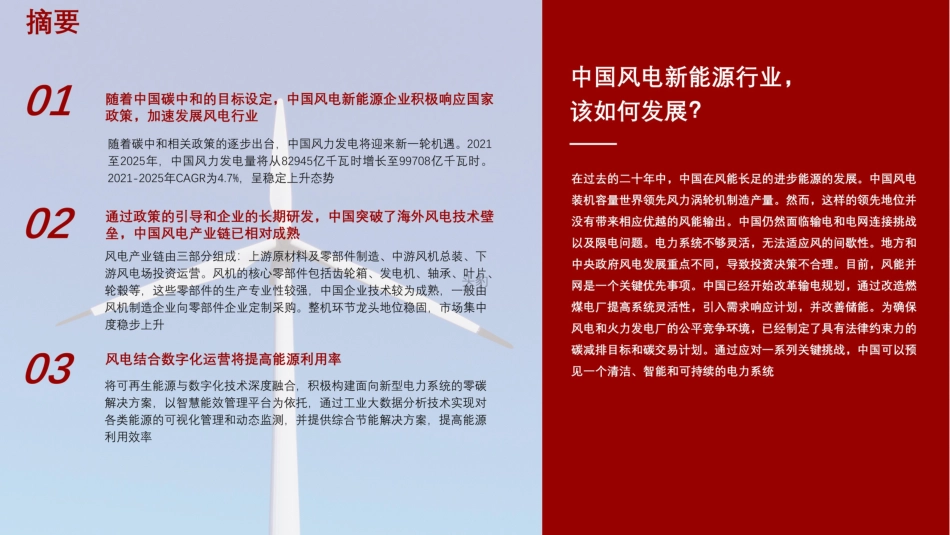 2021年中国风电新能源短报告_第2页