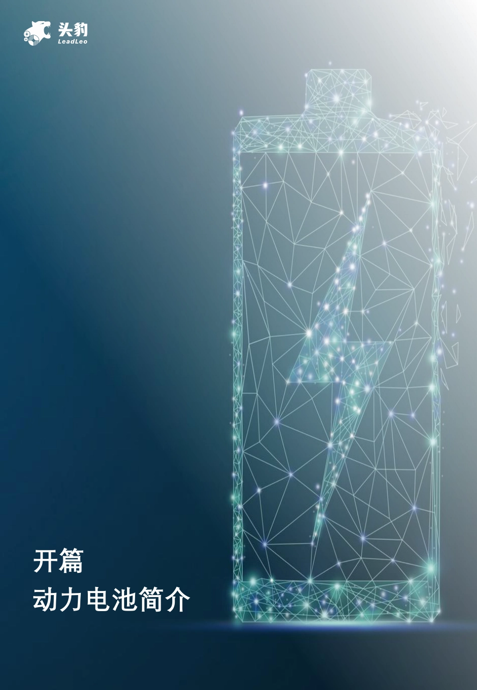 2021年动力电池行业产业全景洞察：双碳政策助力动力电池乘风破浪-头豹研究_第3页
