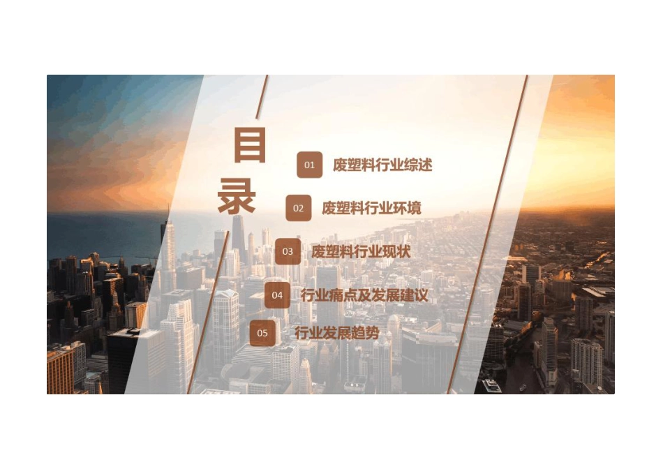 2022-2025年废塑料分析报告---BUSSNESS_第2页