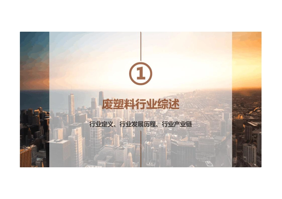2022-2025年废塑料分析报告---BUSSNESS_第3页