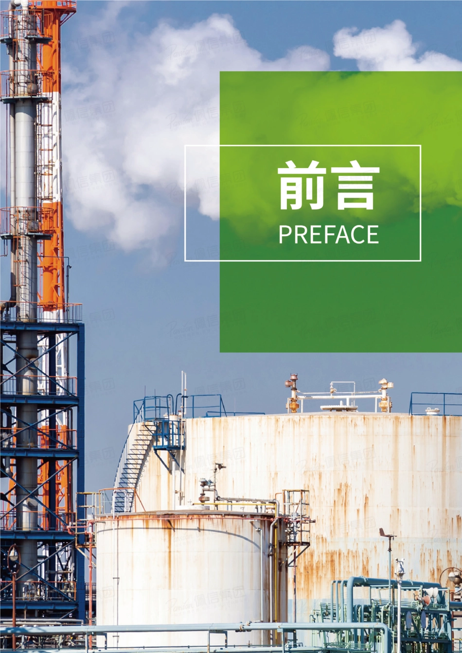 2022化工行业战略转型：绿色双碳背景下的提质增效-佩信集团_第2页