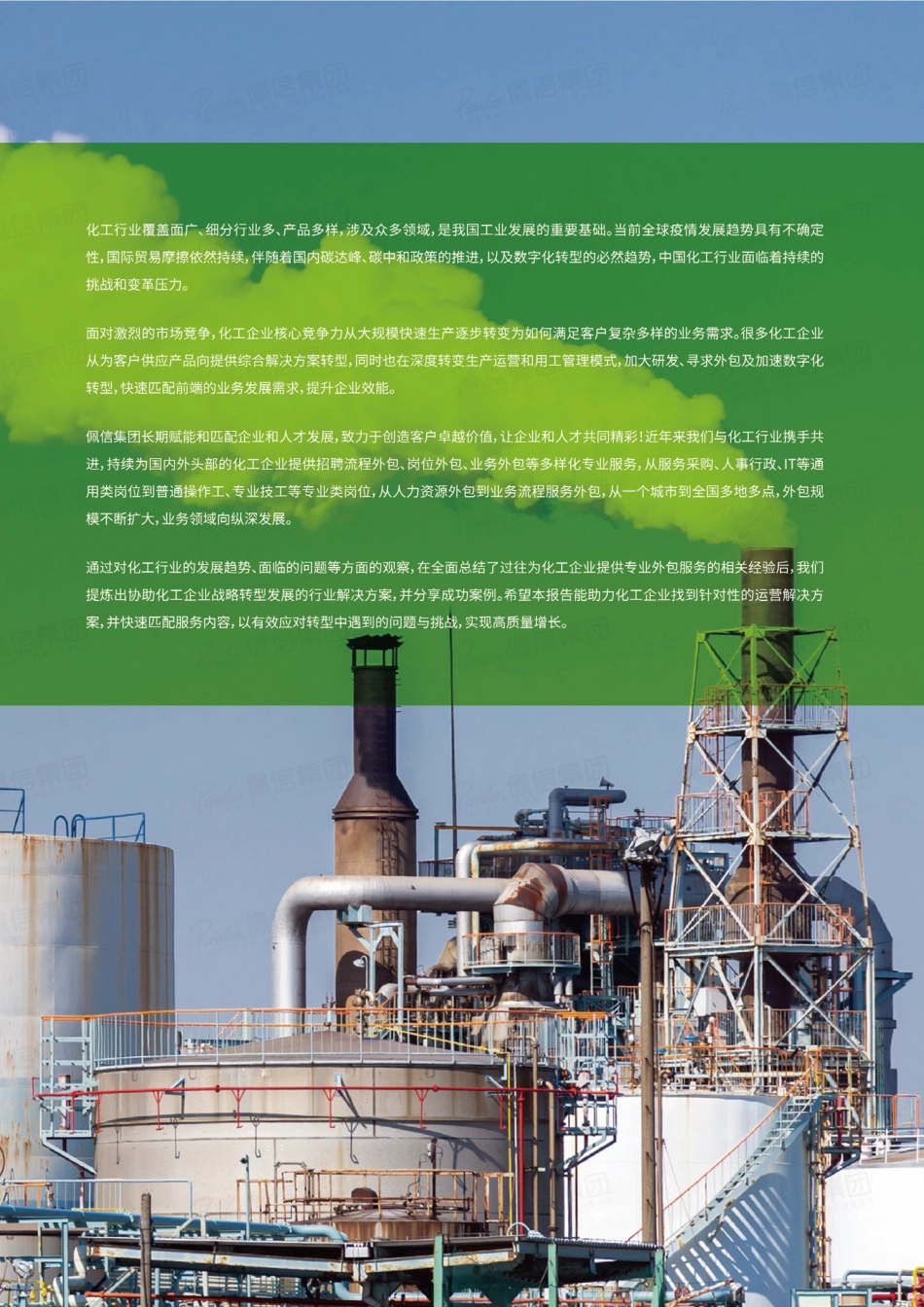 2022化工行业战略转型：绿色双碳背景下的提质增效-佩信集团_第3页