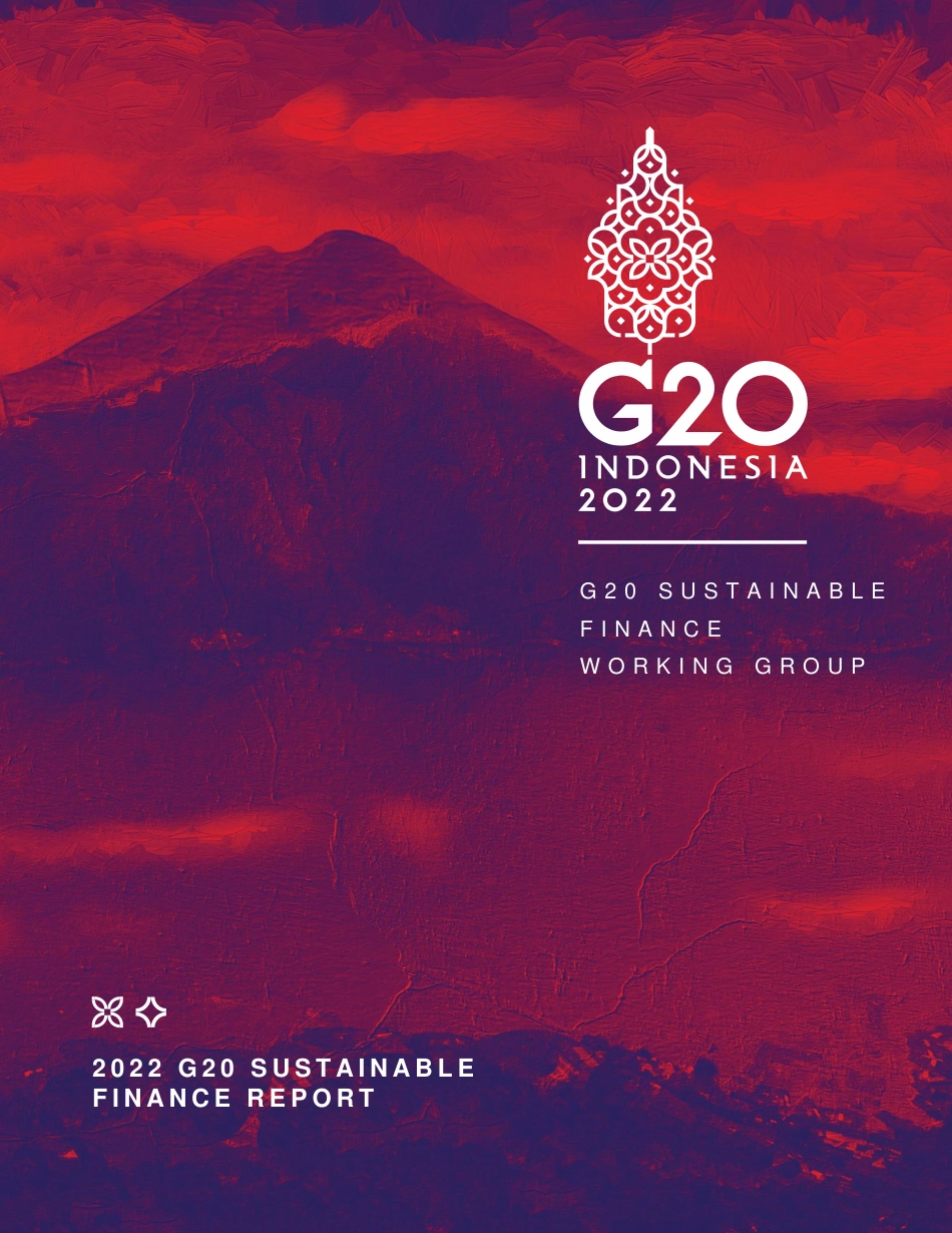 2022年G20可持续金融报告（英文版）---二十国集团_第1页