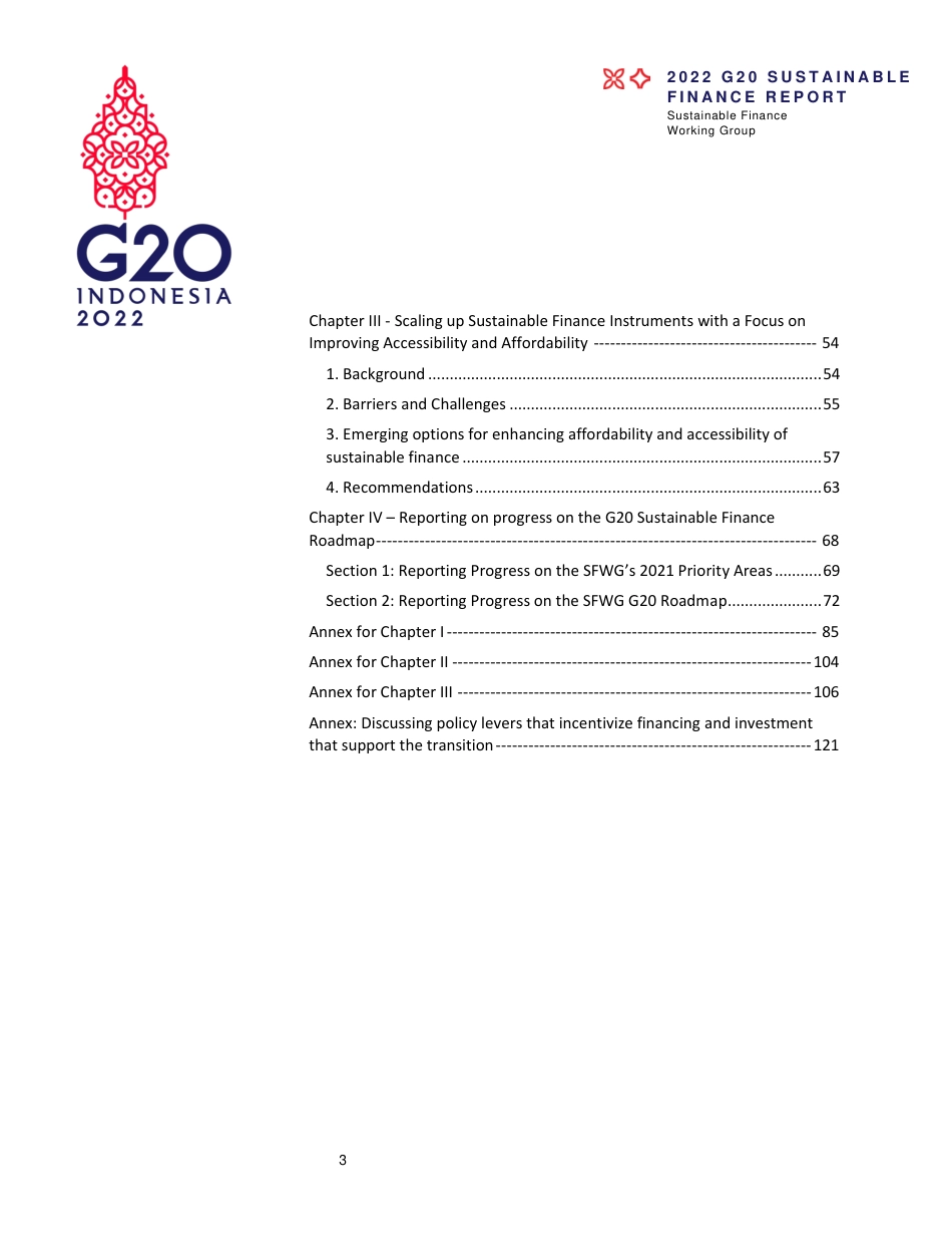 2022年G20可持续金融报告（英文版）---二十国集团_第3页