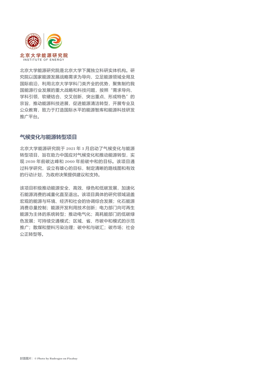 中国可持续航空燃料发展研究报告：现状与展望-北京大学能源研究院_第2页