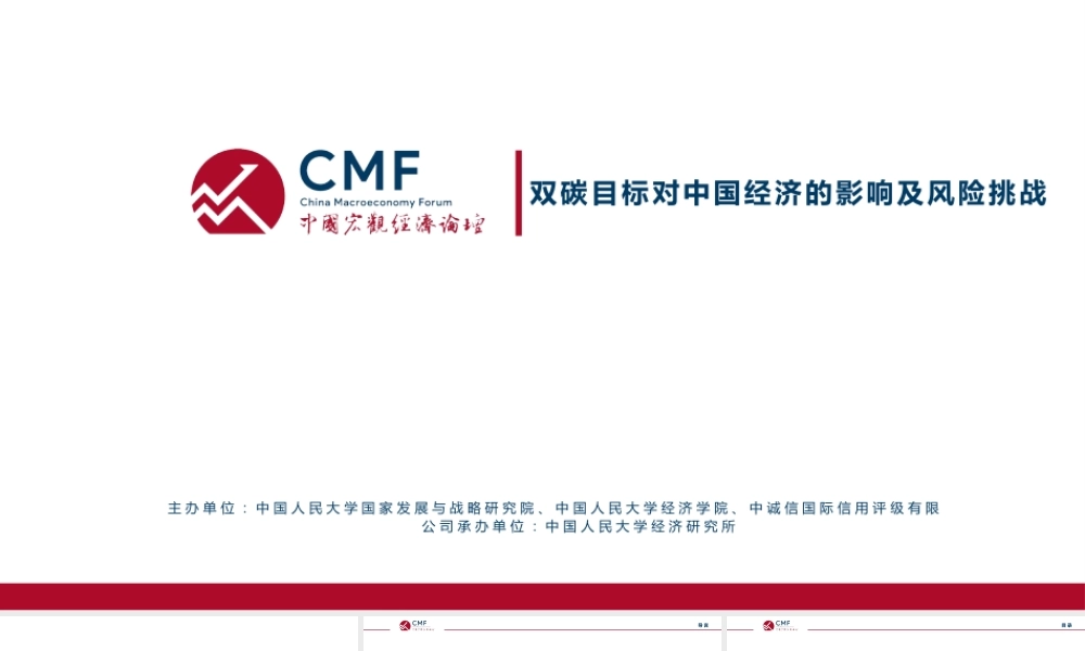 双碳目标对中国经济的影响及风险挑战