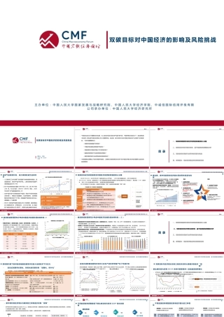 双碳目标对中国经济的影响及风险挑战