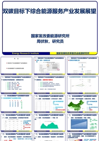国家发改委能研所：双碳目标下综合能源服务产业发展展望