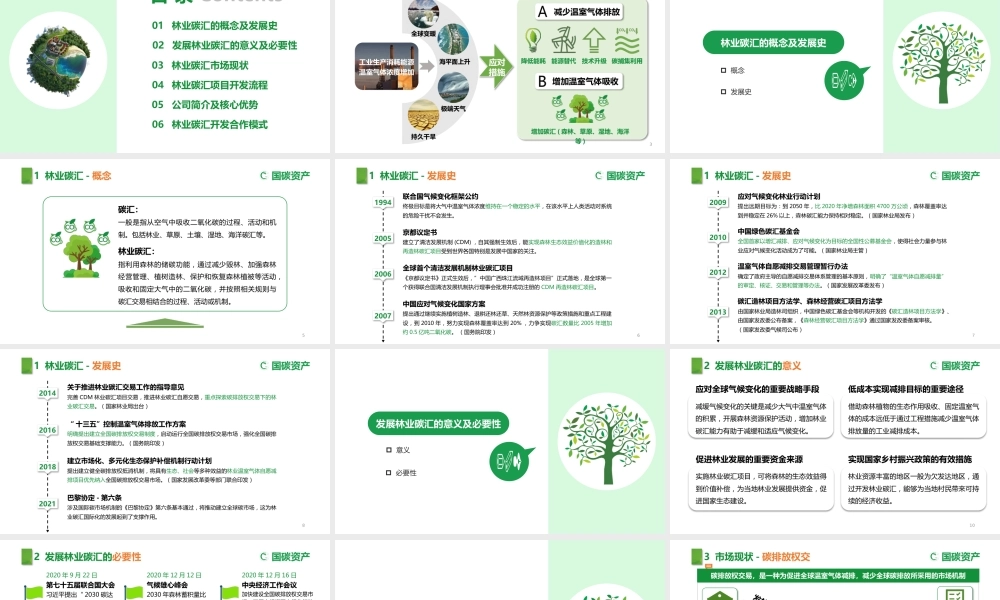 国碳资产管理公司：林业碳汇资源项目开发