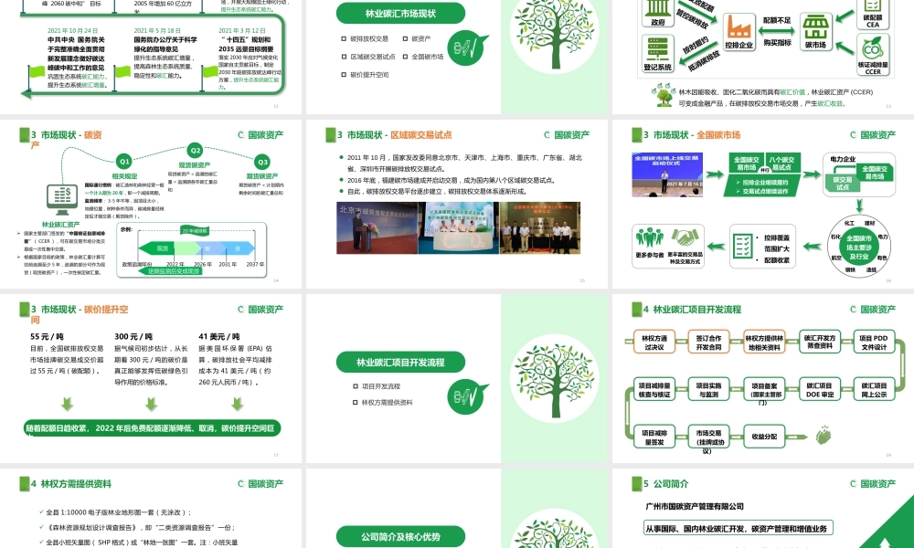 国碳资产管理公司：林业碳汇资源项目开发