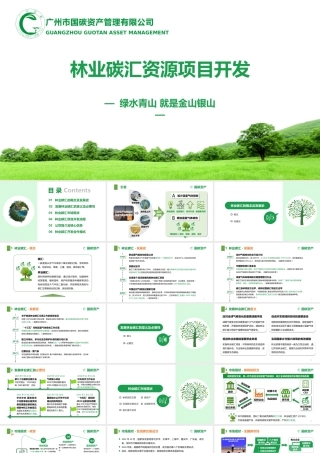 国碳资产管理公司：林业碳汇资源项目开发