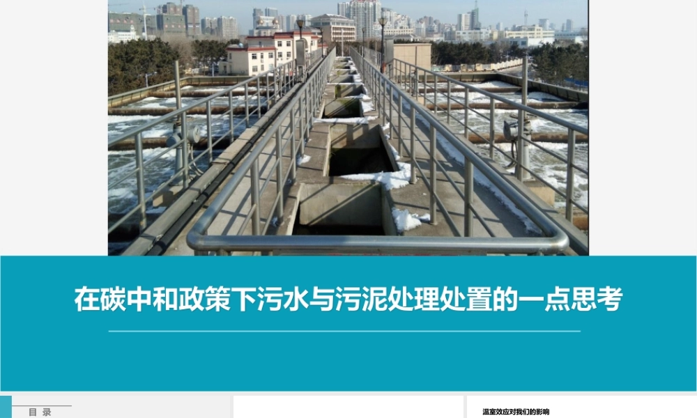 在碳中和政策下污水与污泥处理处置的一点思考