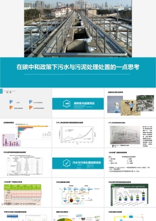 在碳中和政策下污水与污泥处理处置的一点思考