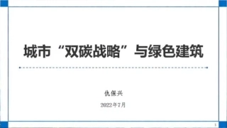 城市双碳战略与绿色建筑-202207-仇保兴-图片版PPT-29页