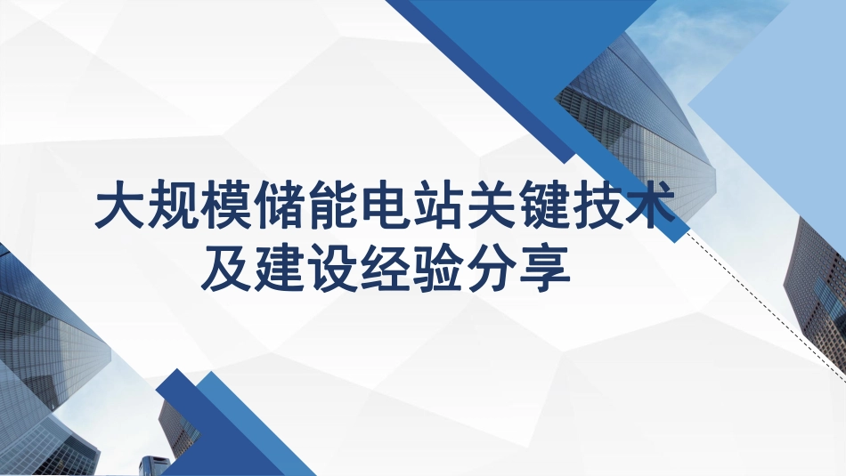 大规模储能电站关键技术及建设经验分析报告_第1页