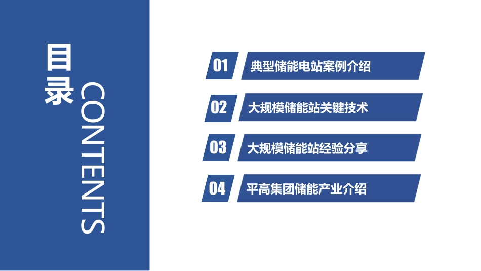 大规模储能电站关键技术及建设经验分析报告_第2页